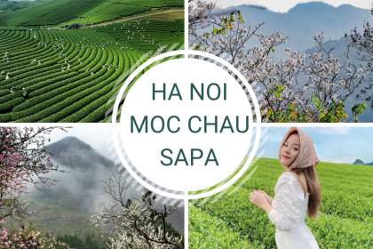 4D3N NORTHWEST ROUTE TOUR: HANOI - MOC CHAU - DIEN BIEN - SAPA