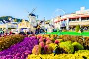 DU LỊCH HÀN QUỐC: ĐÀ NẴNG – SEOUL – NAMI – EVERLAND 