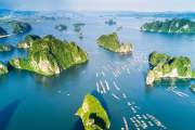 2D1N TOUR | EXPLORE HA LONG BAY WITH VICTORY WOODEN JUNK CRUISE