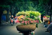 HANOI CITY SIGHTSEEING DAY TOUR WITH GUIDE | VIETNAM