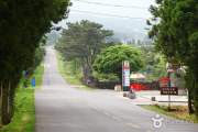 Du lịch Hàn Quốc 2025: Khám phá mùa hè ở Jeju (Khởi hành từ Đà Nẵng)