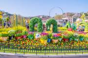 KHÁM PHÁ MÙA ĐÔNG XỨ HÀN : SEOUL – ĐẢO NAMI – LOTTE WORLD – TRƯỢT TUYẾT