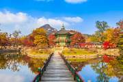 KHÁM PHÁ MÙA ĐÔNG XỨ HÀN : SEOUL – ĐẢO NAMI – LOTTE WORLD – TRƯỢT TUYẾT