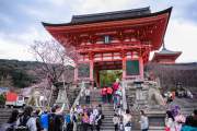 KHÁM PHÁ NHẬT BẢN MÙA THU :  TOKYO – NÚI PHÚ SĨ – NAGOYA – KYOTO – OSAKA
