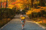 KHÁM PHÁ NHẬT BẢN MÙA THU :  TOKYO – NÚI PHÚ SĨ – NAGOYA – KYOTO – OSAKA