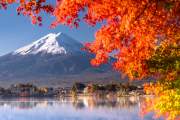 KHÁM PHÁ NHẬT BẢN MÙA THU :  TOKYO – NÚI PHÚ SĨ – NAGOYA – KYOTO – OSAKA