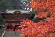 KHÁM PHÁ NHẬT BẢN MÙA THU :  TOKYO – NÚI PHÚ SĨ – NAGOYA – KYOTO – OSAKA
