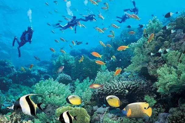 占婆岛-迦南岛一日游