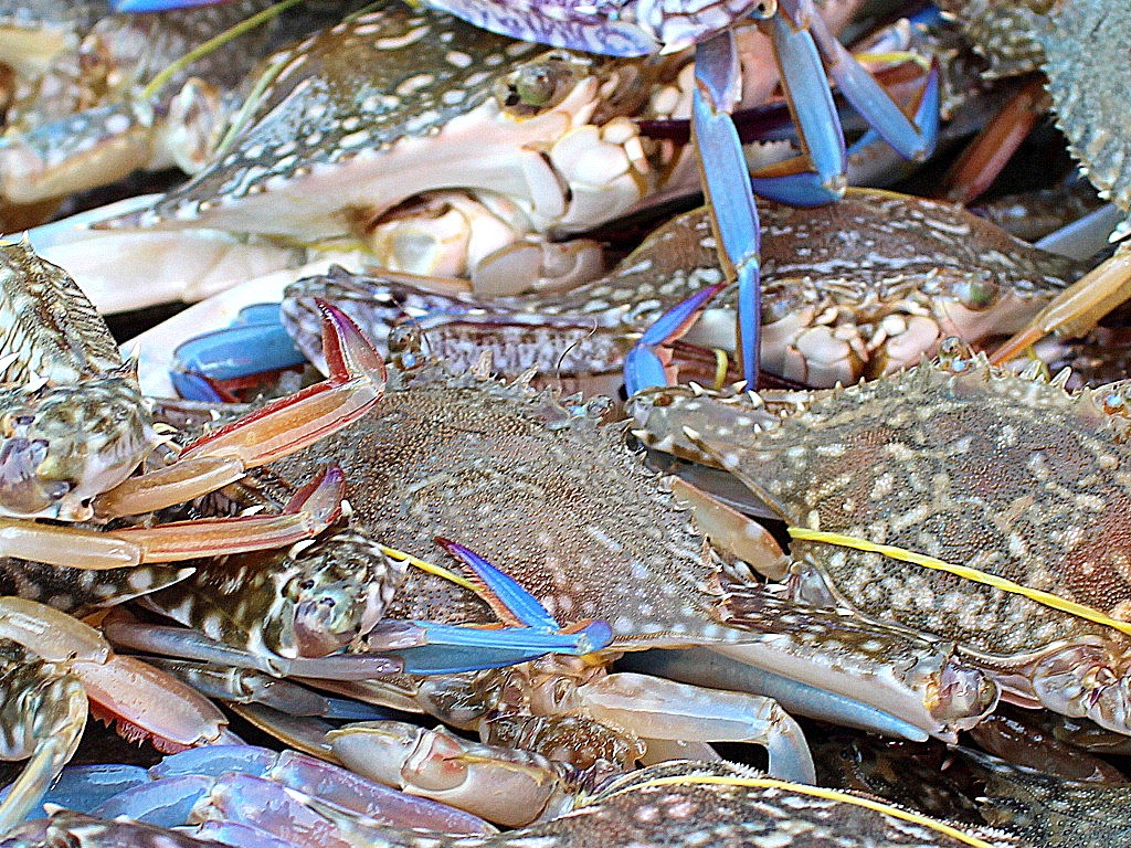 广州直飞岘港休闲游