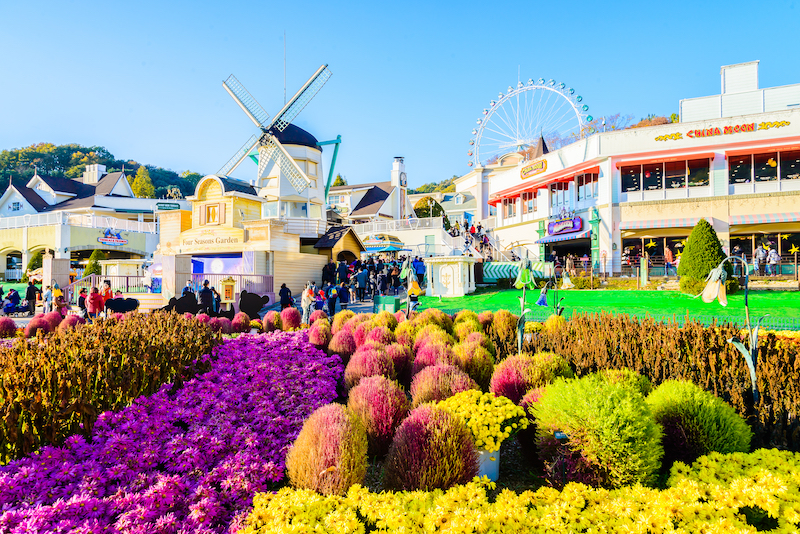 DU LỊCH HÀN QUỐC: ĐÀ NẴNG – SEOUL – NAMI – EVERLAND