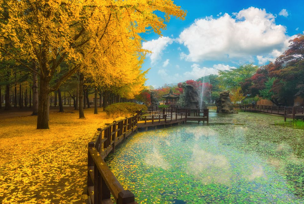 DU LỊCH HÀN QUỐC: ĐÀ NẴNG – SEOUL – NAMI – EVERLAND