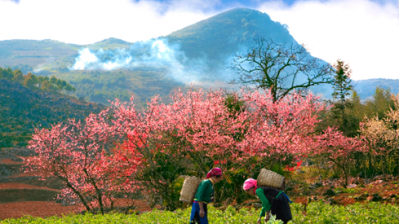 DU LỊCH HÀ GIANG: HÀ NỘI - QUẢN BẠ - ĐỒNG VĂN 3 NGÀY 2 ĐÊM