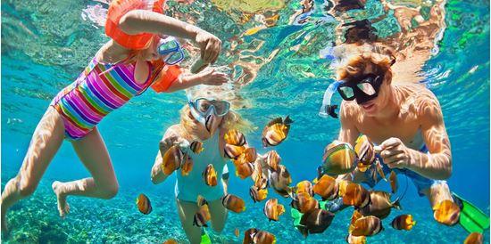 HALF DAY JOIN TOUR | WALKING UNDERWATER - CHAM ISLAND (SPEED BOAT)