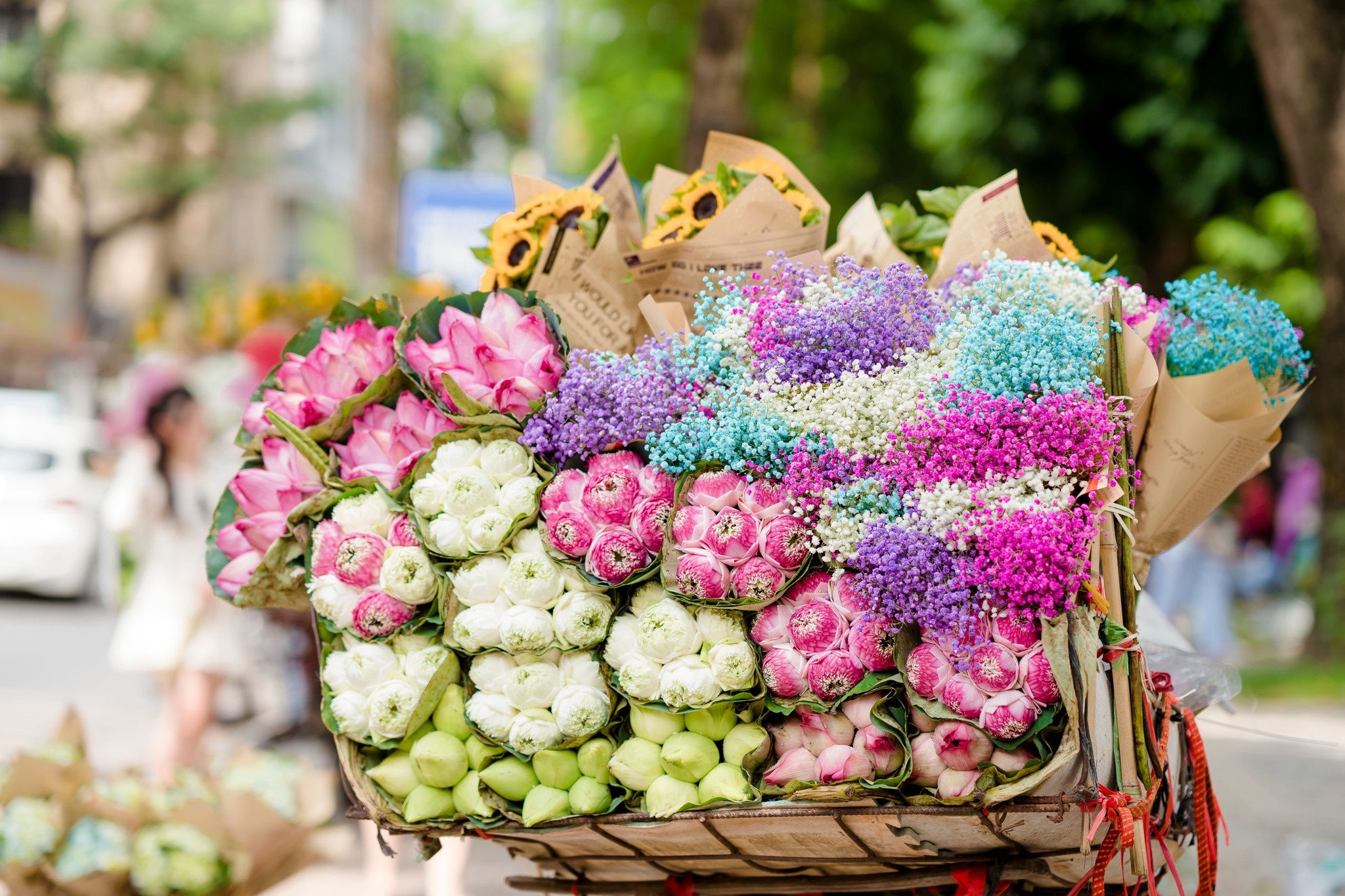 HANOI CITY SIGHTSEEING DAY TOUR WITH GUIDE | VIETNAM